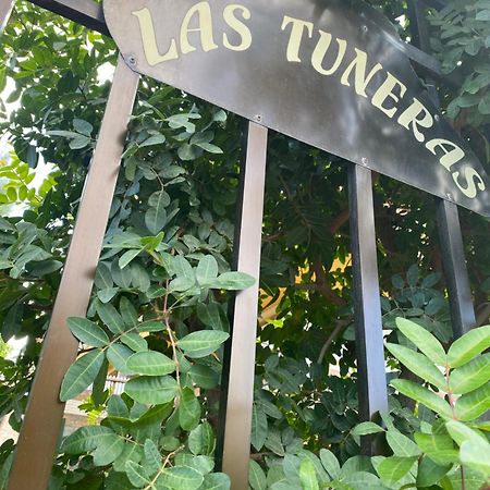 Las Tuneras Apartamento En San Agustin San Bartolomé Ngoại thất bức ảnh